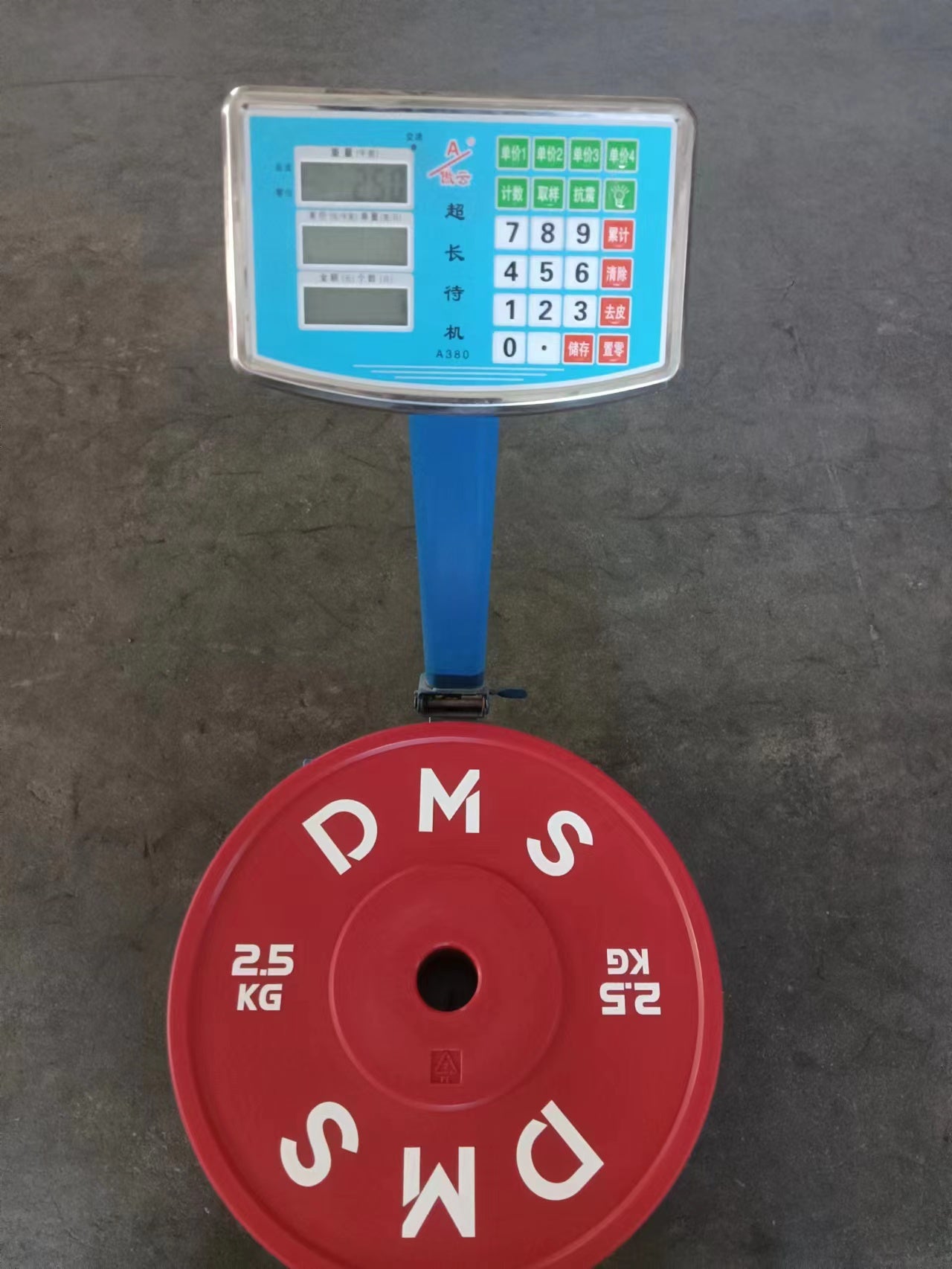 Technique Plate Full Size 2.5 kg PAIR.