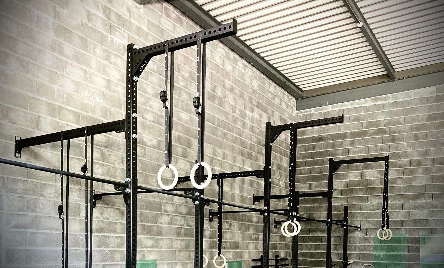 STD T-Rex WM478 in Pure Black with Ring Stations