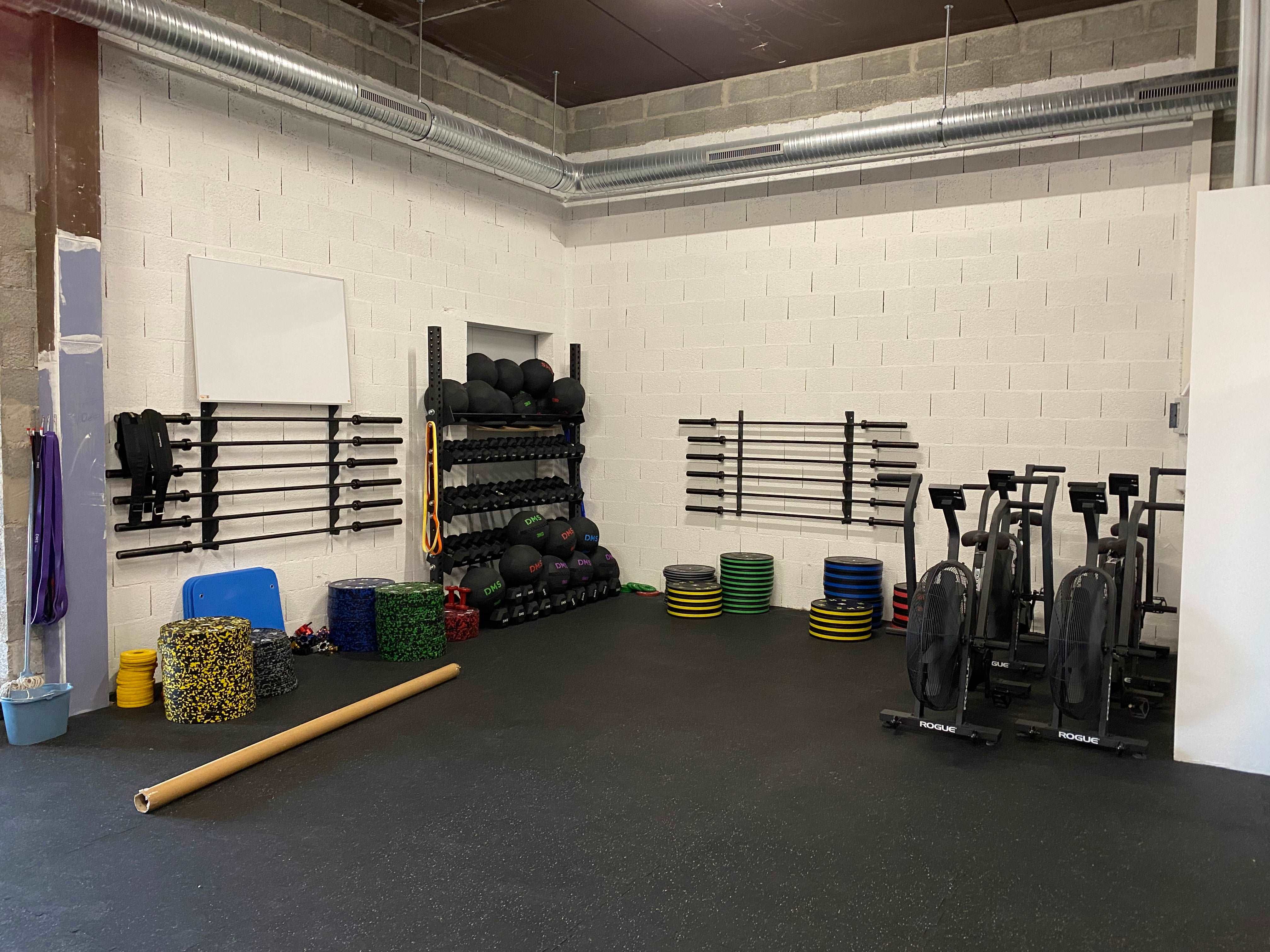 HTB 15 & 20 kg + Wall Storage + STD Multi-Tier Storage rack with Endurance Wall Ball & HEX Dumbbells in Black Chrome + Premium Training Bumpers in Splash Color and with Color Band