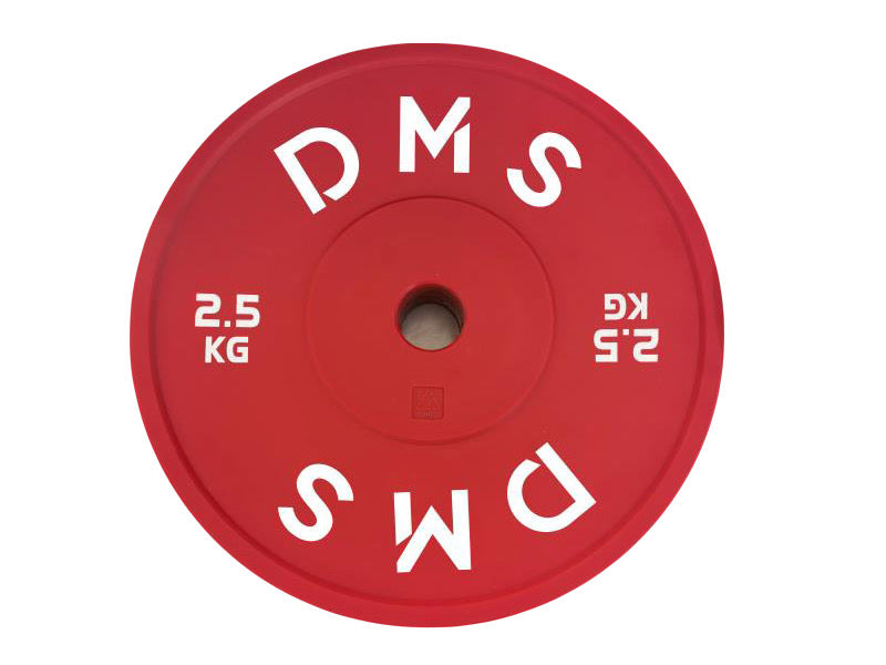 Technique Plate Full Size 2.5 kg PAIR.