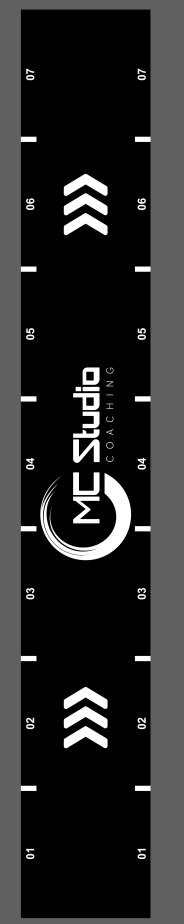 Custom Gym Turf
