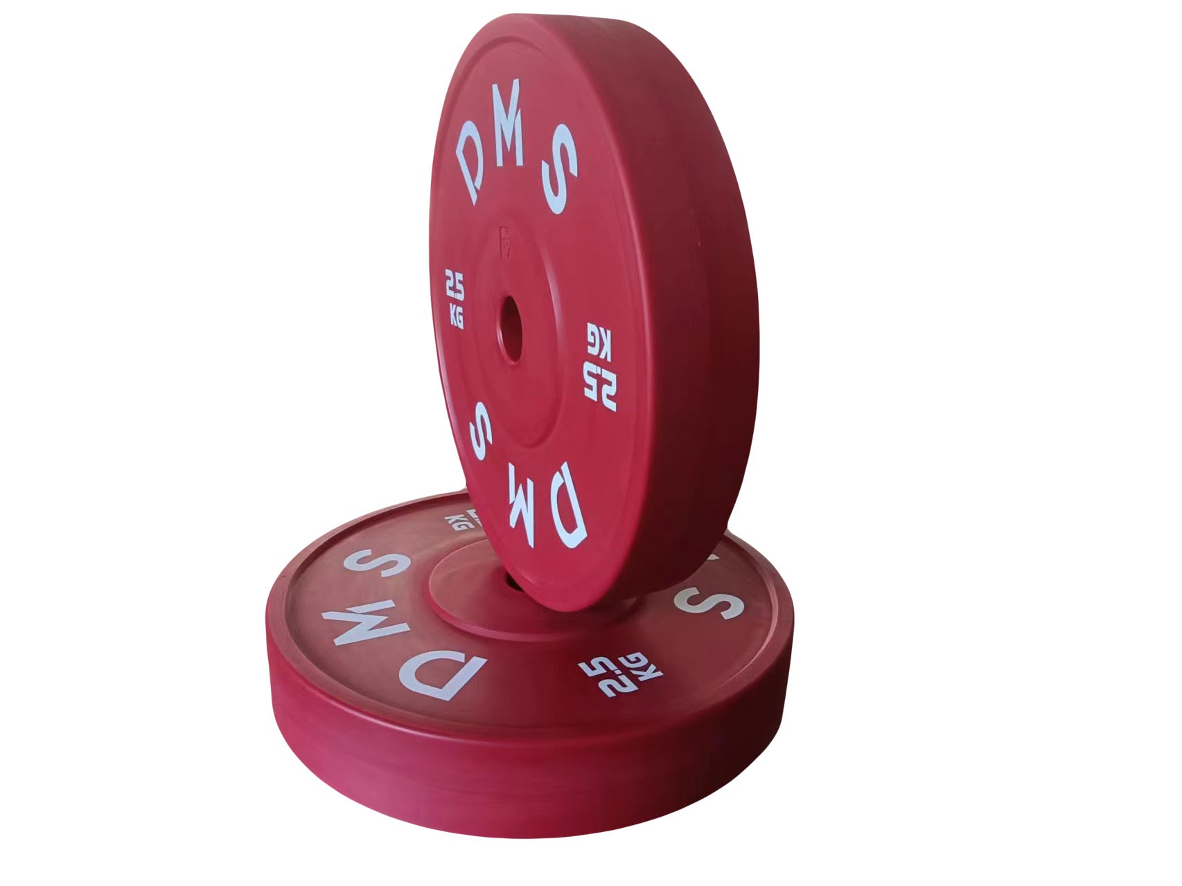 Technique Plate Full Size 2.5 kg PAIR.