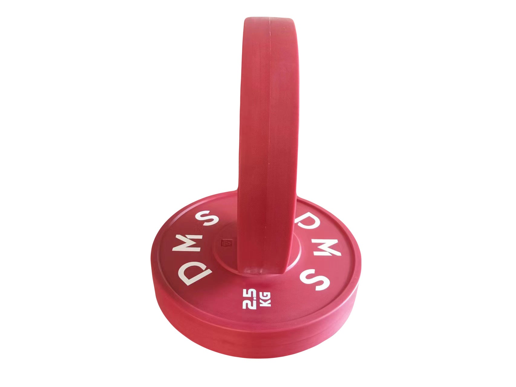 Technique Plate Full Size 2.5 kg PAIR.