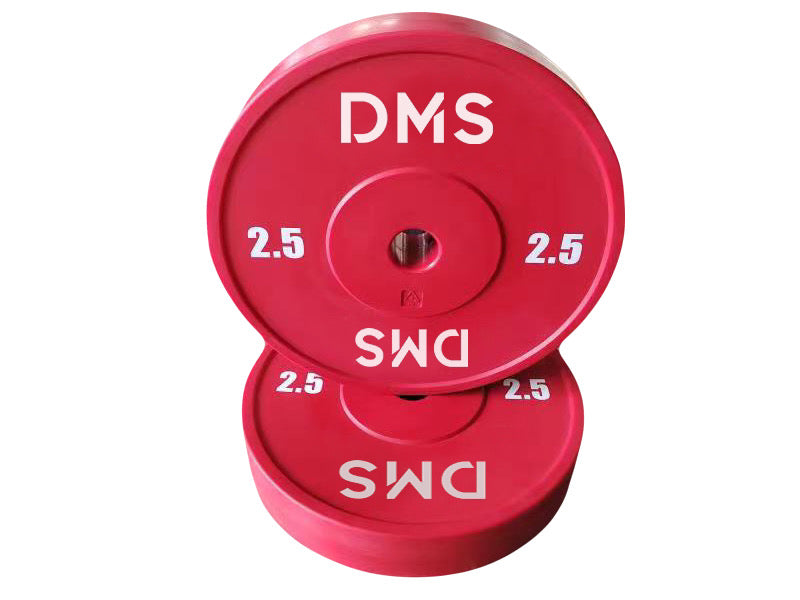 Technique Plate Full Size 2.5 kg PAIR.