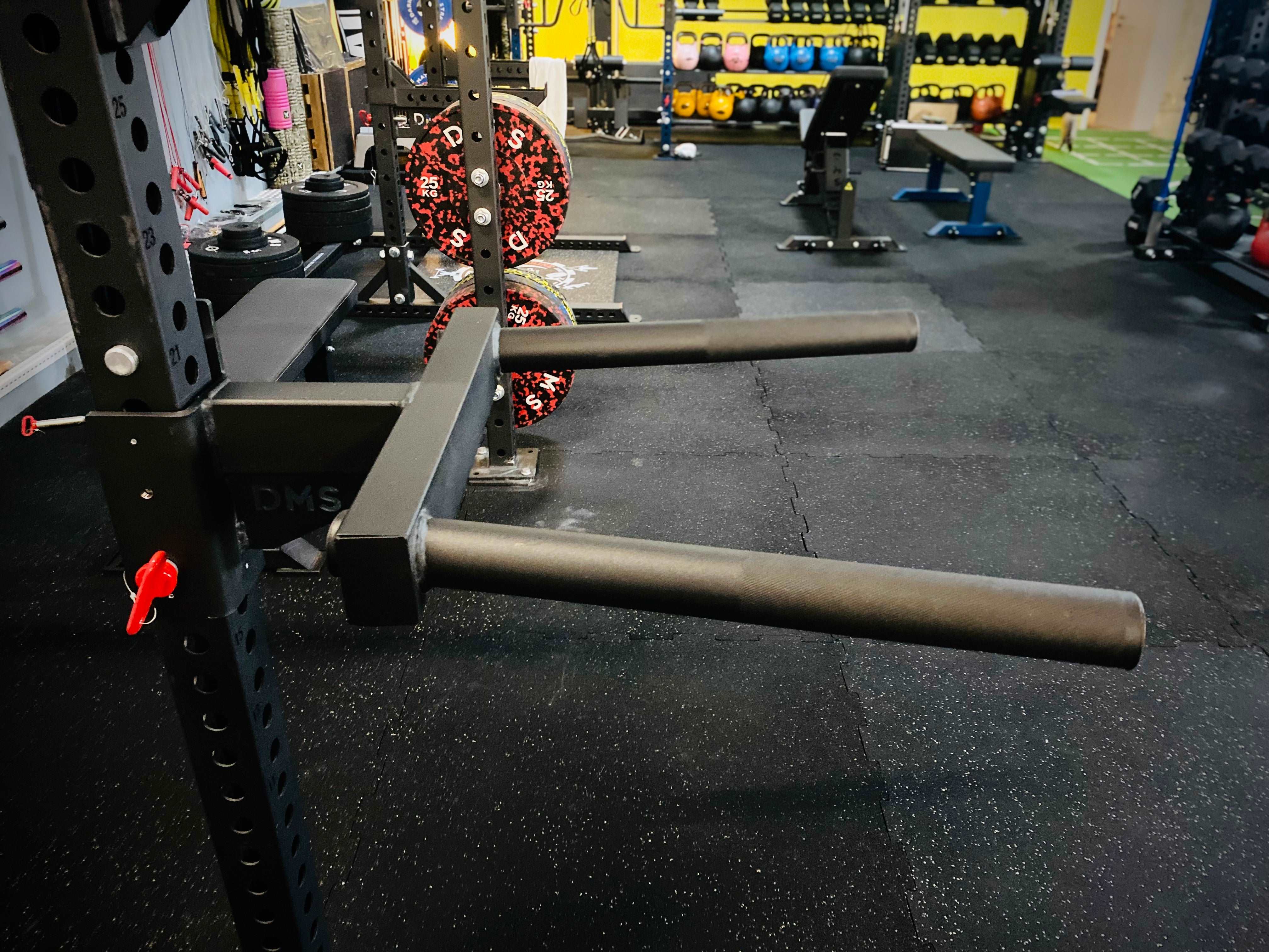 STD DMS DIP BAR