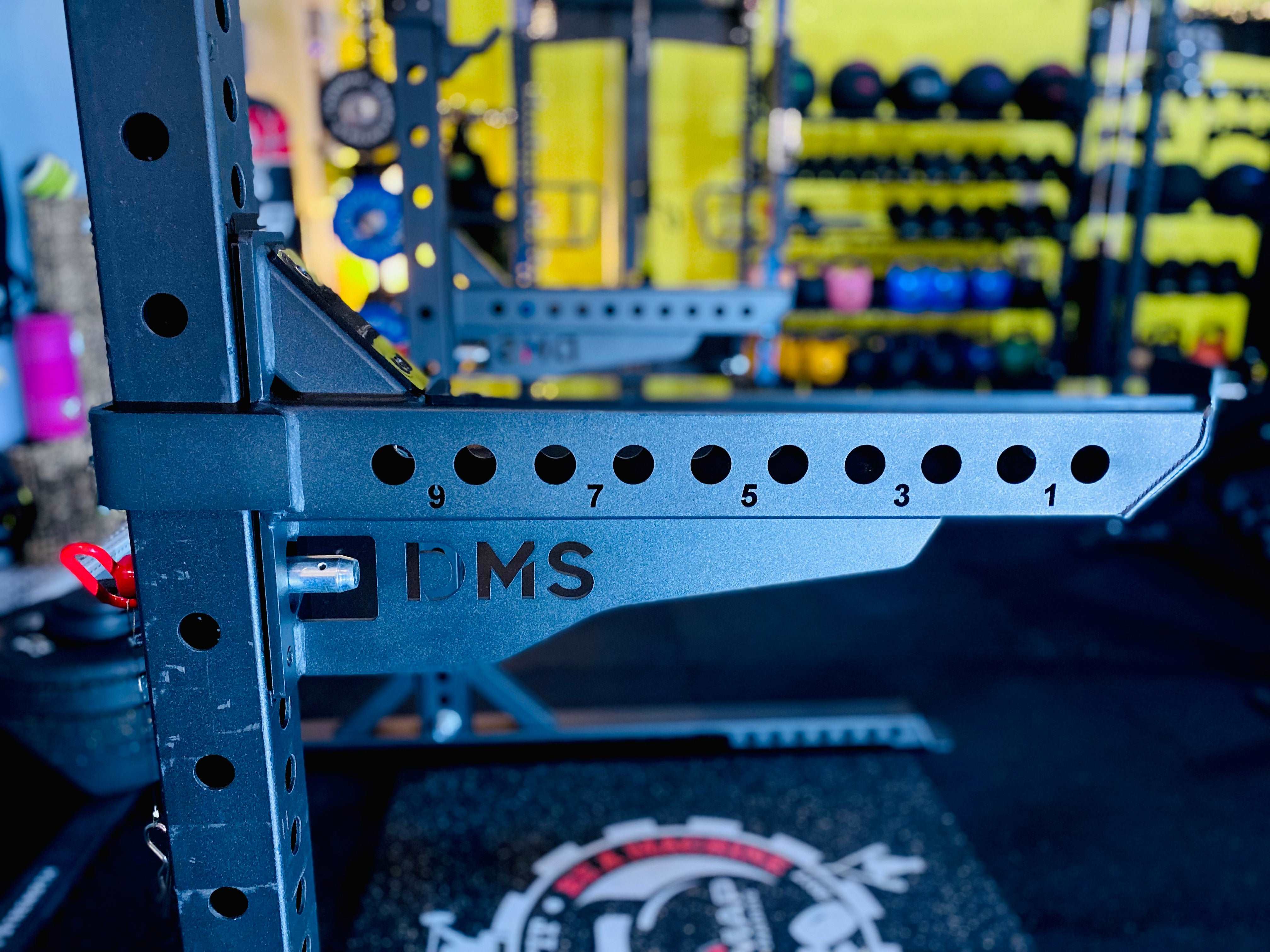 DMS STD SR231 - Squat Rack